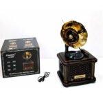 Big Gramophone Radio Speaker FX-2505B